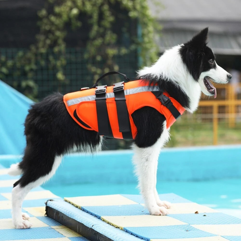 Safety