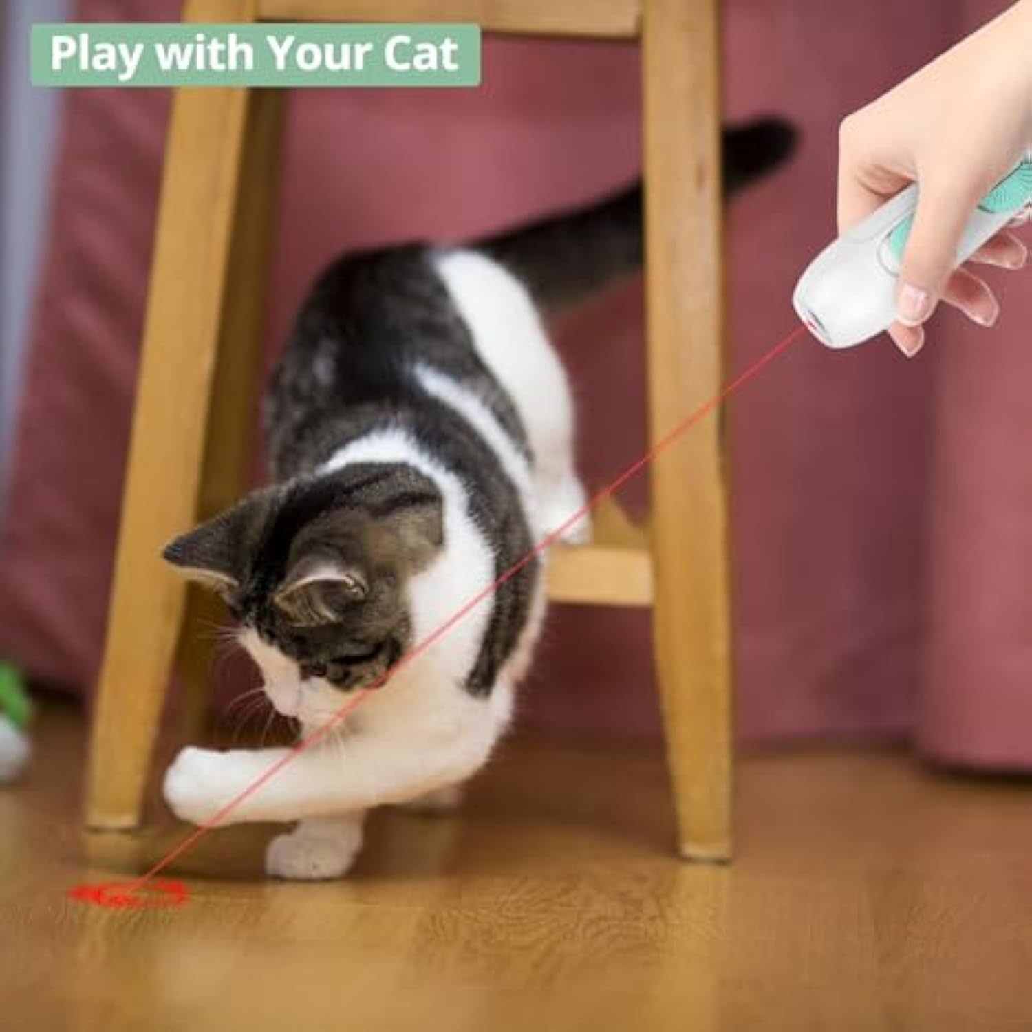 2-in-1 Rechargeable Cat Toy – Laser and Feather