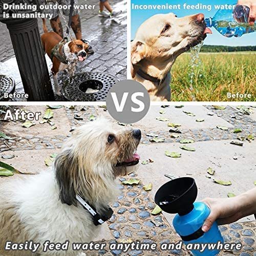Dog Water Bottle – Foldable, Portable Hydration for Walks