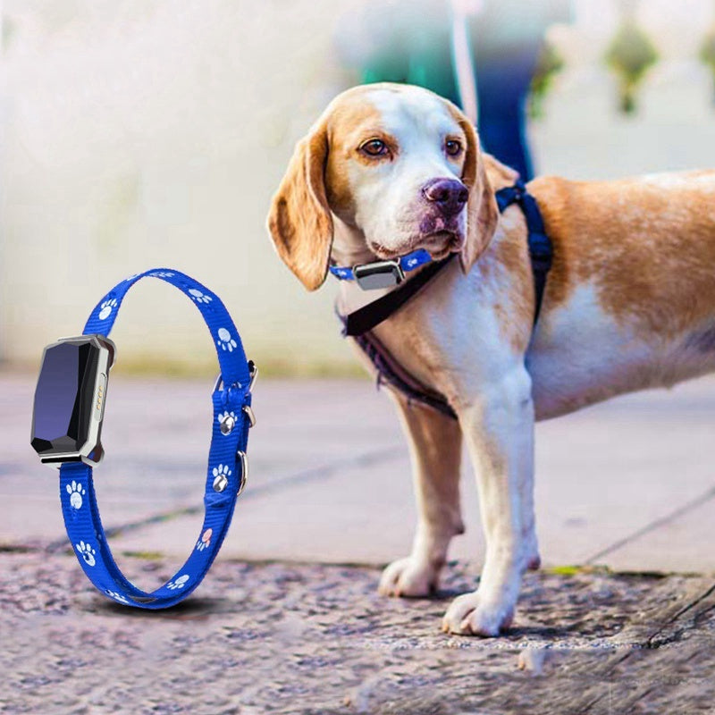 GPS Pet Locator Collar – Stay Connected Anytime