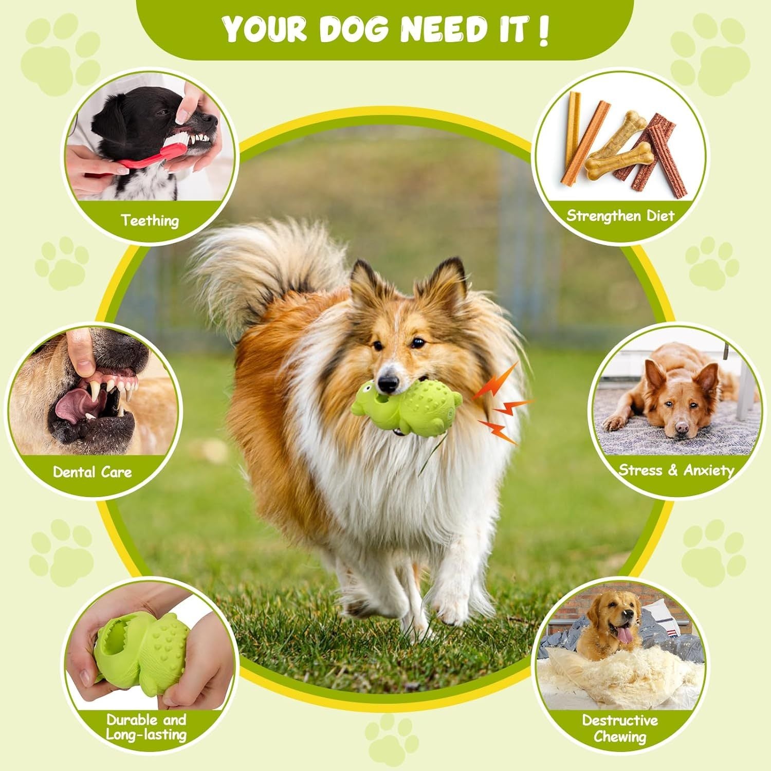 Aggressive Chewer Dog Toy – Squeaky, Strong, and Entertaining