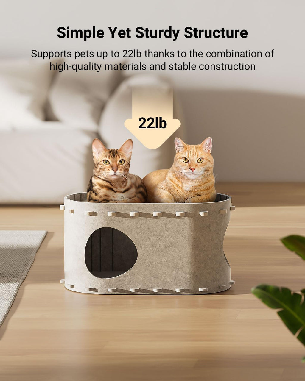 Cat Bed Cave – Scratch-Resistant Retreat for Happy Cats