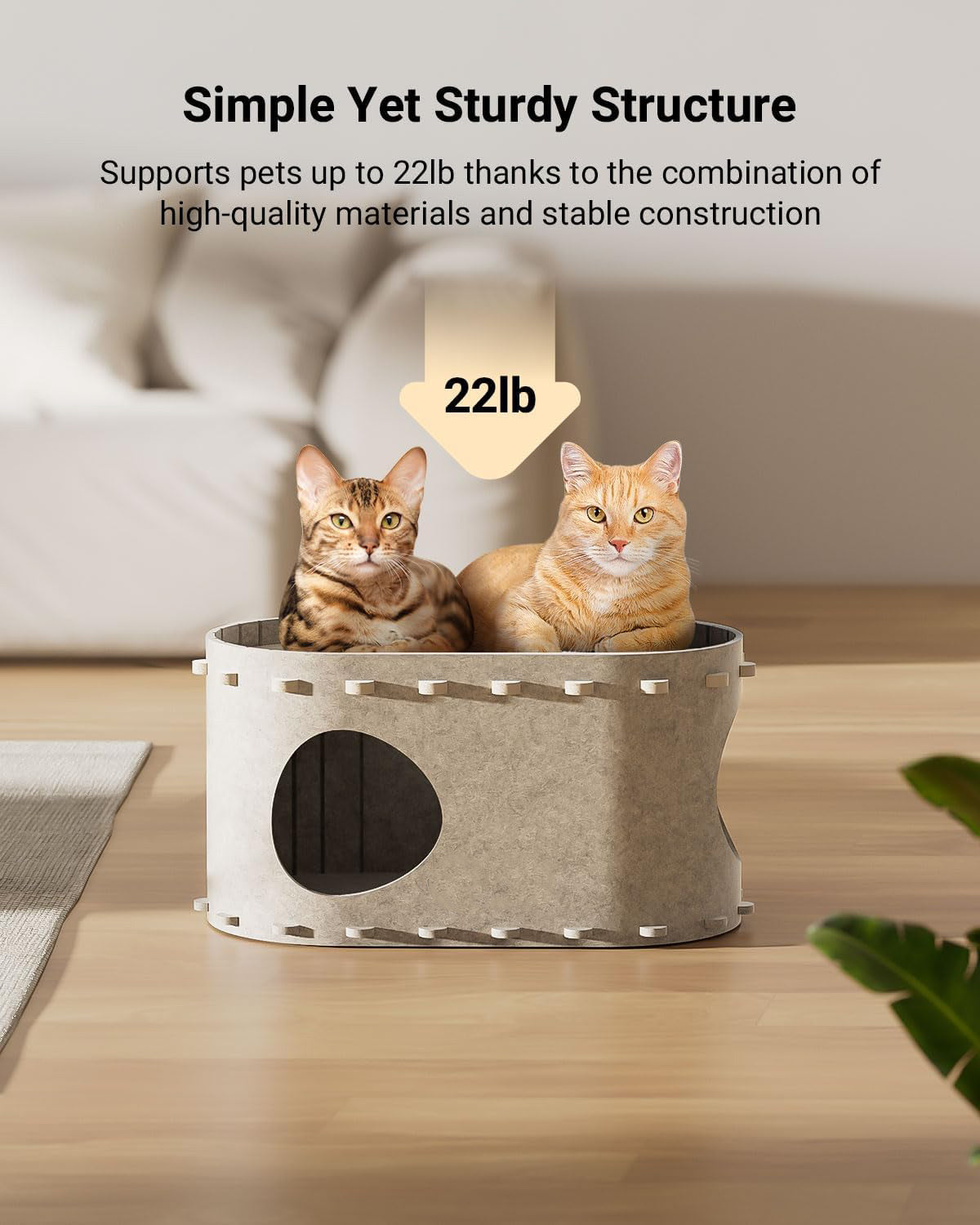 Cat Bed Cave – Scratch-Resistant Retreat for Happy Cats