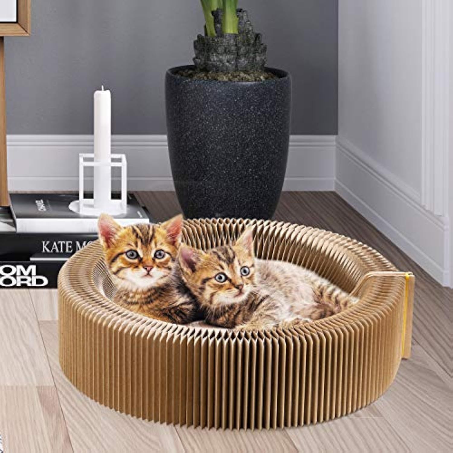 Round Cat Scratching Bed – Relax, Scratch, and Nap